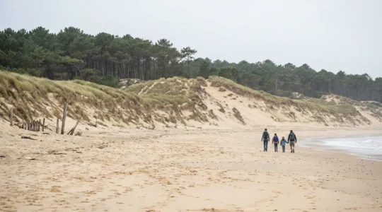 Vue panoramique plage landaise avec dunes et forêt de pins en arrière-plan